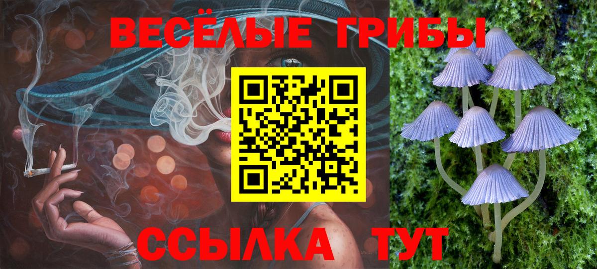 Кулебаки  Псилоцибиновые грибы GOLDEN TEACHER  Вход с VPN 