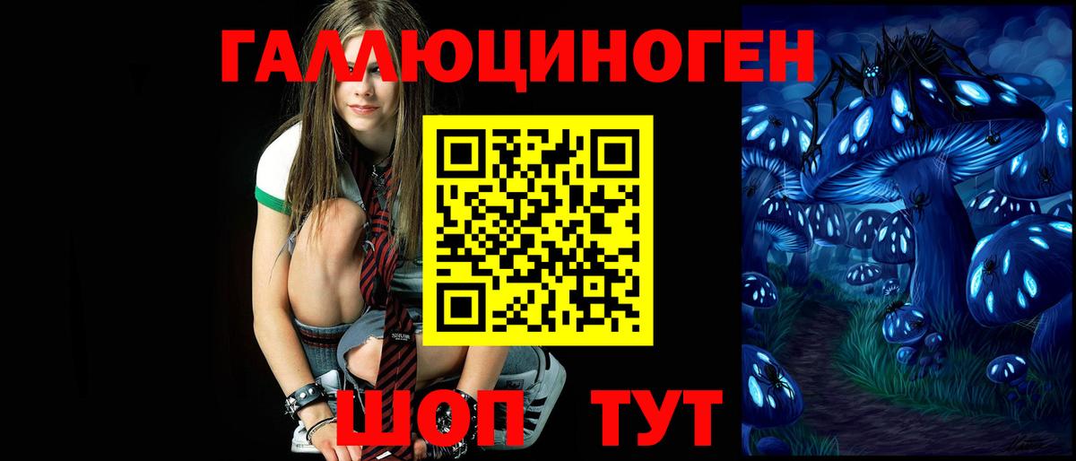 Псилоцибиновые грибы Psilocybine cubensis Кулебаки